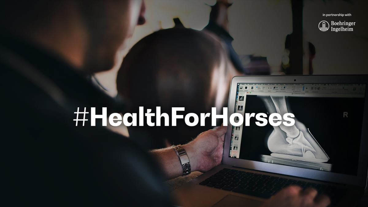 Equine wellbeing at the heart of HealthforHorses campaign FEI